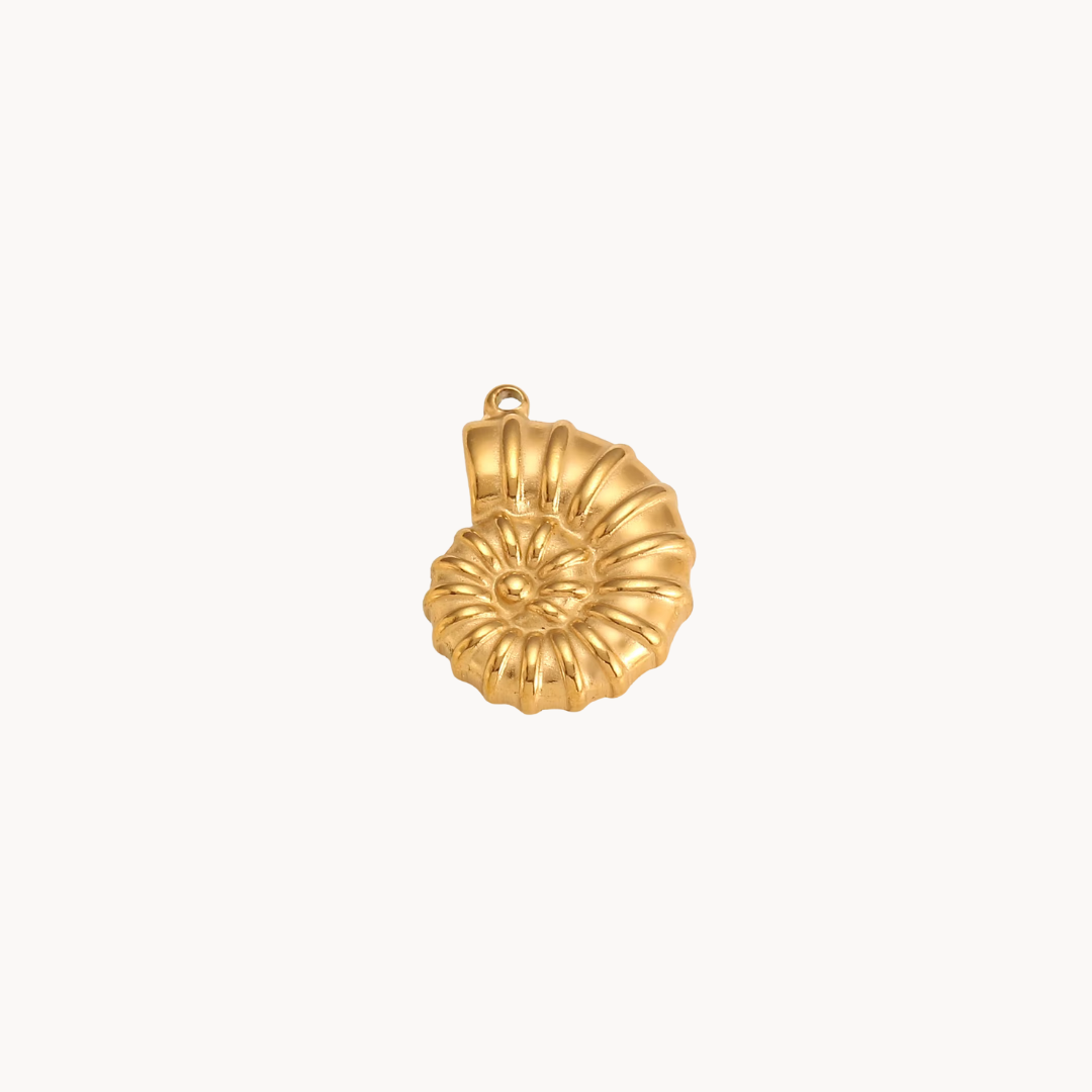 puka shell necklace natural shell jewelry